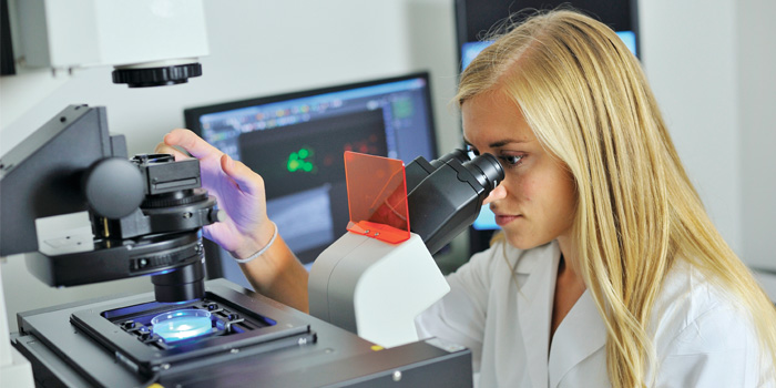 Under the microscope Neuroscience research being conducted at Florida Atlantic Universitys Brain Institute in Jupiter