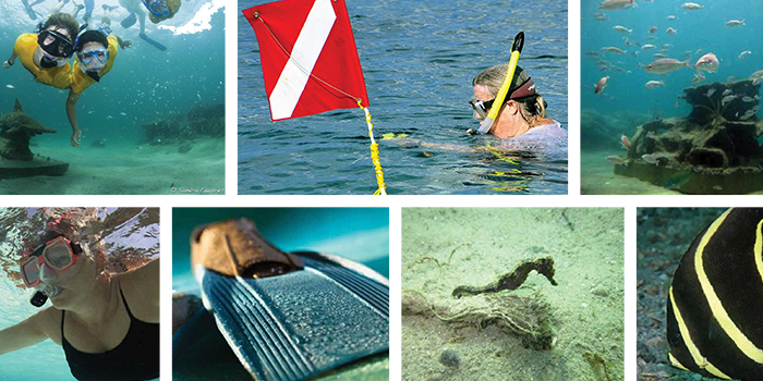 snorkeljpg snorkeljpg