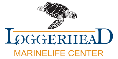 Loggerhead Marinelife Center