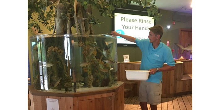 Public Tour and Fish Feeding