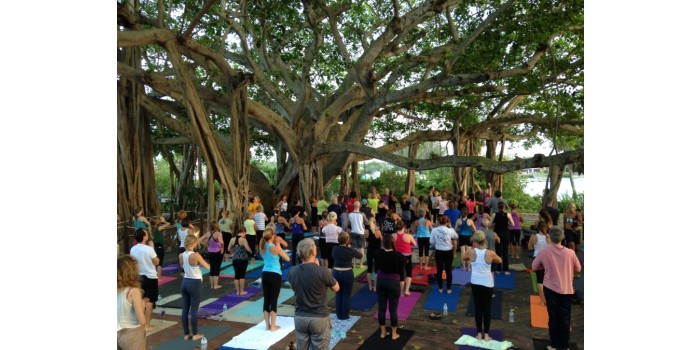 Twilight Yoga at the Light