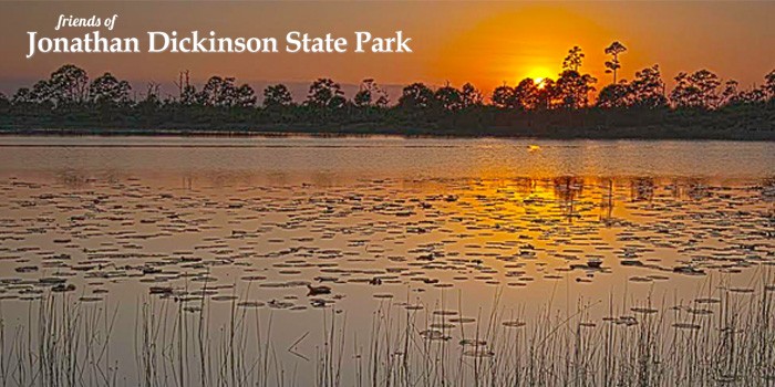 Friends of Jonathan Dickinson State Park to Host Special Photography Class 