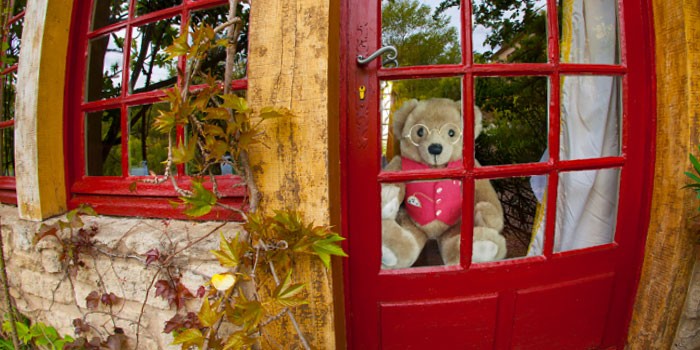 A Beary Great Adventure