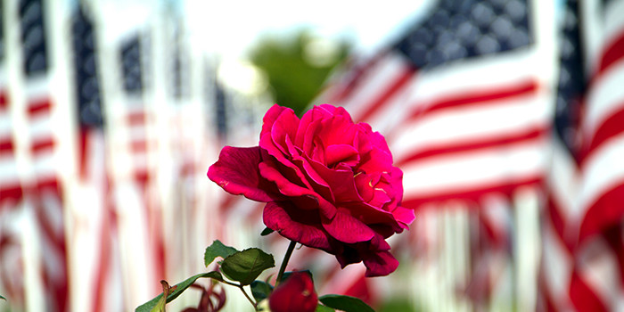 Veterans Float Free at True REST Float Spa