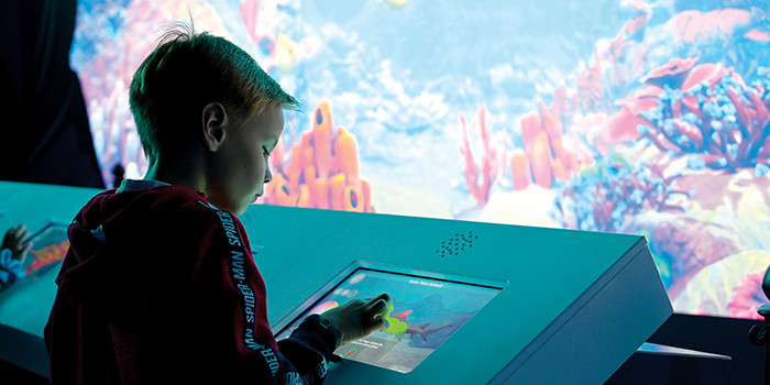 Summer Educational Activities are Now Open at Loggerhead Marinelife Center