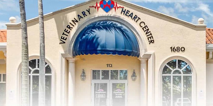 North American Veterinary Heart Center In Jupiter Florida Sets Global Standards