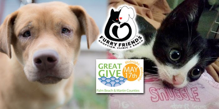 Furry Friends to Hold 24-Hour Online Giving Event 