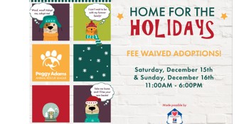 Peggy Adams Animal Rescue League Will Waive All Adoption Fees this Weekend to Help Animals Find a Home for the Holidays Saturday and Sunday Dec 15 and 16th