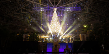 Christmas at Gaylord Palms is Now Open