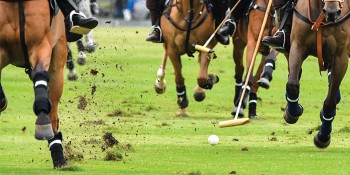 A Day in the Life of a Polo Trainer