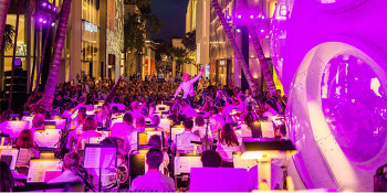 MIAMI DESIGN DISTRICT PERFORMANCE SERIES RETURNS FOR FALL 2019