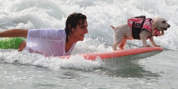 3rd Annual Hang 20 Surf Dog Classic Returns Just In Time For The Holidays