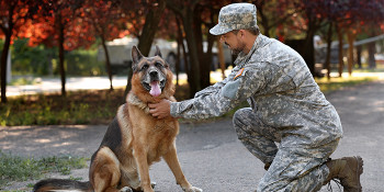 Big Dog Ranch Rescue Opens Center to Select, House, Train Service Dogs for Veterans with PTSD 