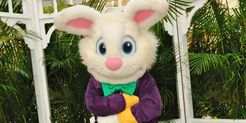 The Gardens Mall - A Virtual Visit with the Easter Bunny Tomorrow